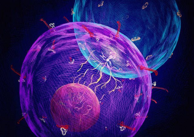 A picture of a cancer cell.