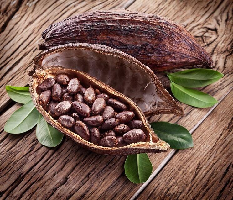 Cacao fruit
