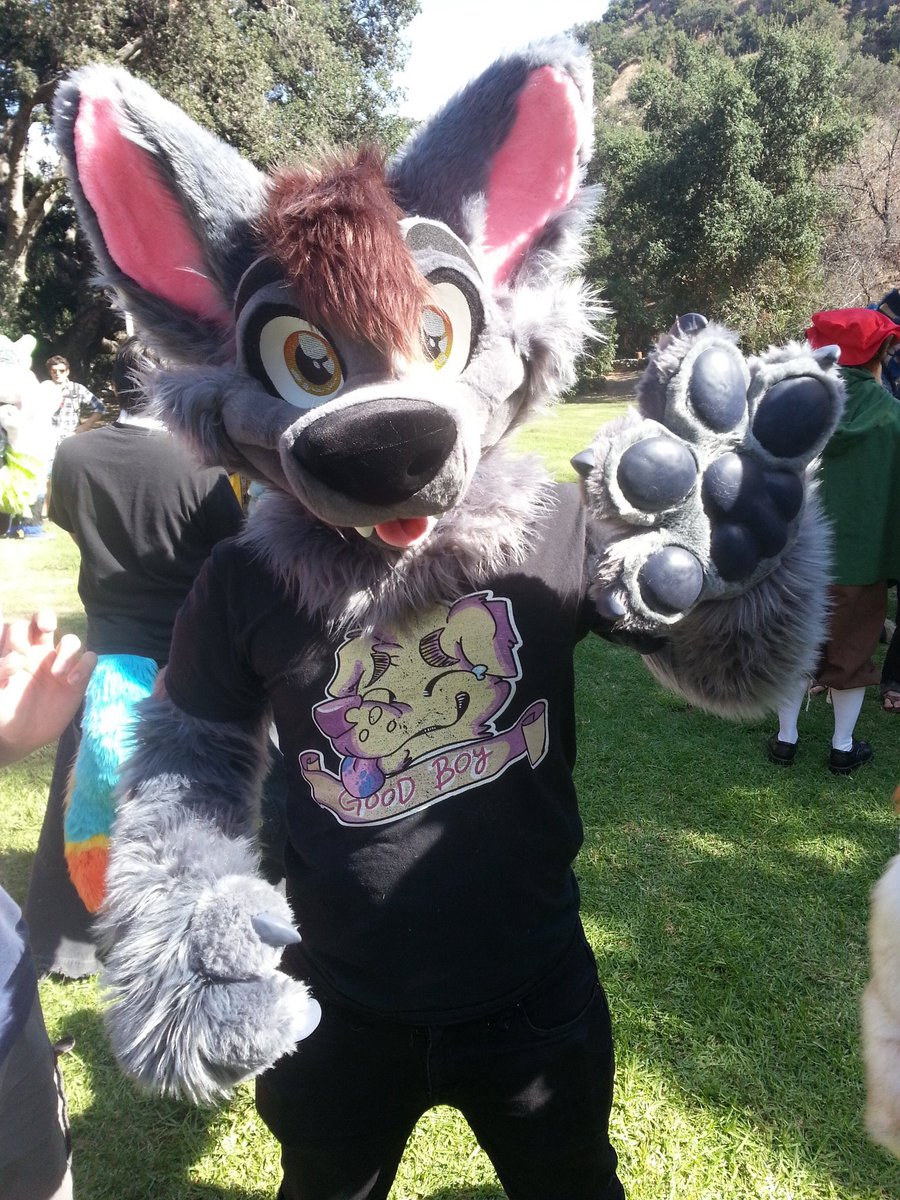 acepartial